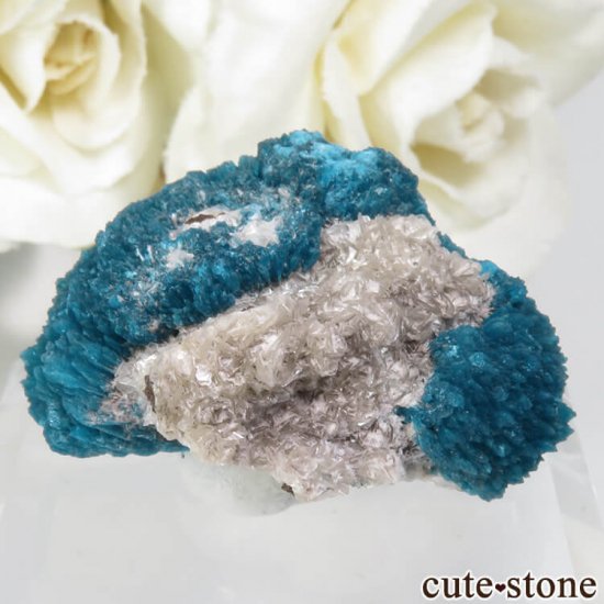  ץ͡ Х󥵥ȡƥХȤդ뾽ʸСNo.24μ̿1 cute stone