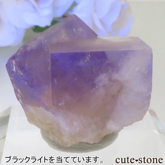 ǥʥ٥ The Bull vein ե饤Ȥη뾽ʸСNo.4μ̿2 cute stone