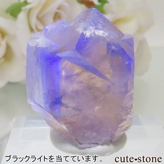 ǥʥ٥ The Bull vein ե饤Ȥη뾽ʸСNo.5μ̿2 cute stone