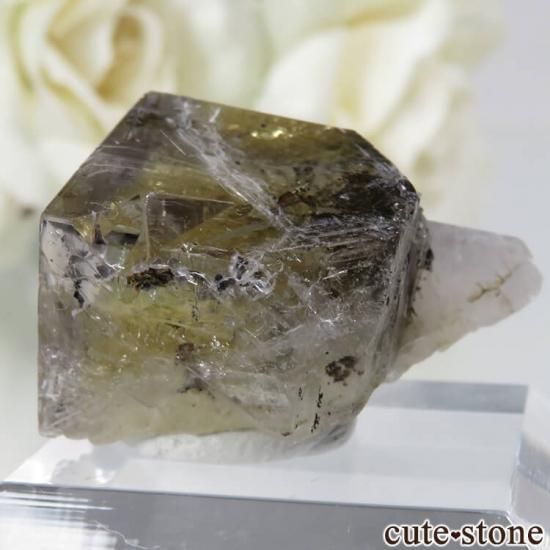 ǥʥ٥ The Bull vein ե饤Ȥη뾽ʸСNo.15μ̿1 cute stone