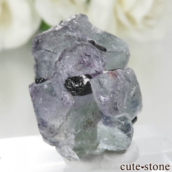 ʥߥӥ 󥴻 ֥롼ߥ꡼ե饤ȡߥȥޥθ No.9μ̿0 cute stone