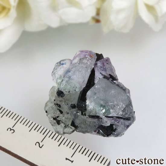ʥߥӥ 󥴻 ֥롼ߥ꡼ե饤ȡߥȥޥθ No.9μ̿2 cute stone