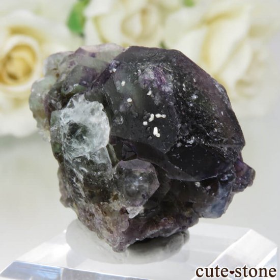 ʥߥӥ 󥴻 ꡼ߥѡץե饤Ȥθ No.11μ̿0 cute stone