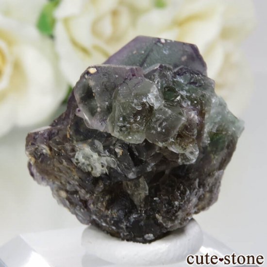 ʥߥӥ 󥴻 ꡼ߥѡץե饤Ȥθ No.11μ̿1 cute stone