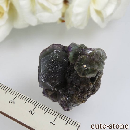 ʥߥӥ 󥴻 ꡼ߥѡץե饤Ȥθ No.11μ̿3 cute stone