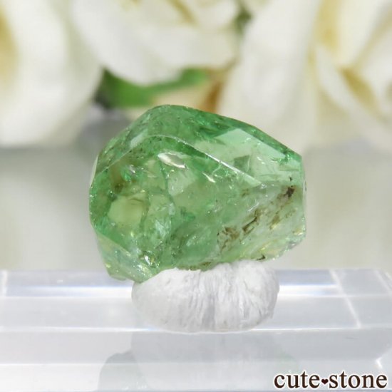 󥶥˥ ĥܥ饤Ȥθ No.17μ̿1 cute stone