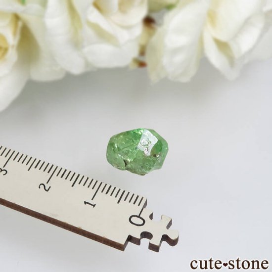 󥶥˥ ĥܥ饤Ȥθ No.17μ̿3 cute stone