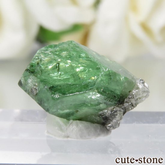 タンザニア産 ツァボライトの原石 No.18 - cute stone -