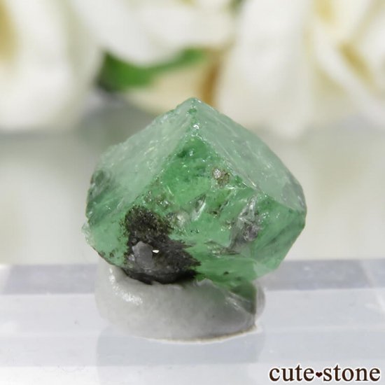 󥶥˥ ĥܥ饤Ȥθ No.18μ̿0 cute stone