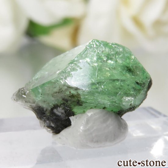 󥶥˥ ĥܥ饤Ȥθ No.18μ̿1 cute stone