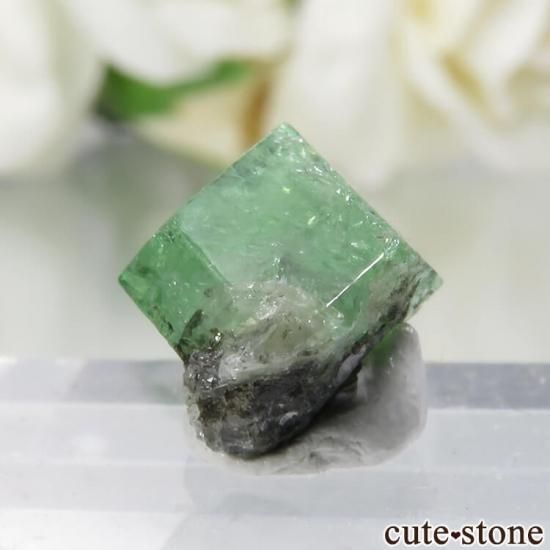 タンザニア産 ツァボライトの原石 No.18 - cute stone -