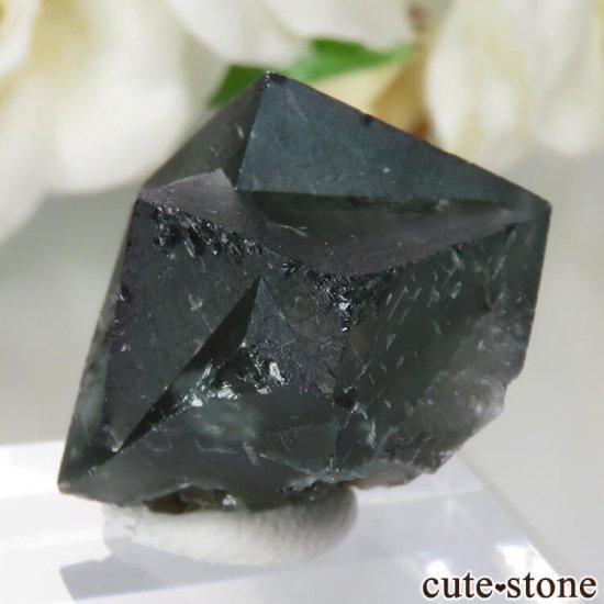 ǥʥ٥Lady Annabella˻ ꡼ե饤Ȥη뾽ʸСNo.1μ̿1 cute stone