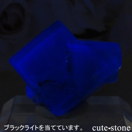 ǥʥ٥Lady Annabella˻ ꡼ե饤Ȥη뾽ʸСNo.1μ̿2 cute stone