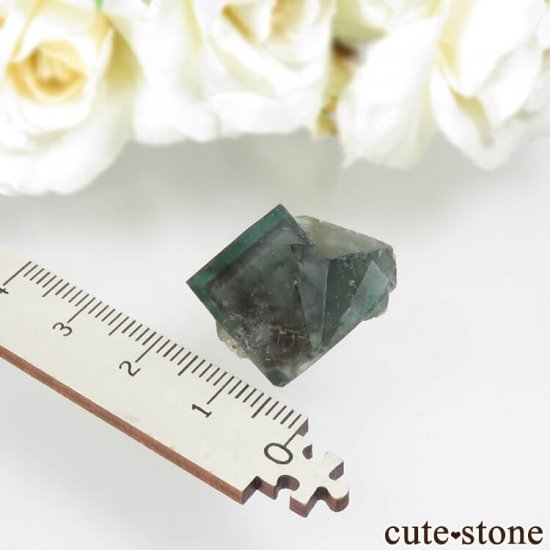 ǥʥ٥Lady Annabella˻ ꡼ե饤Ȥη뾽ʸСNo.1μ̿3 cute stone