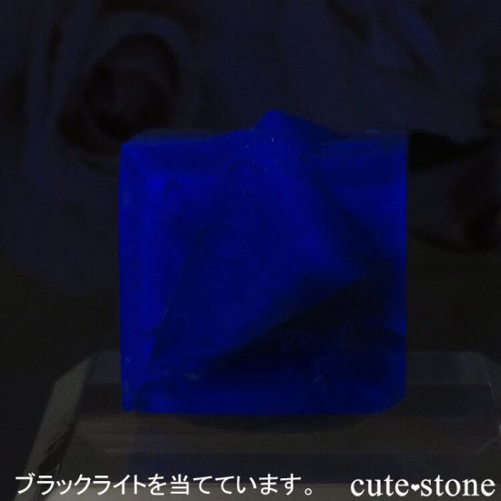 ǥʥ٥Lady Annabella˻ ꡼ե饤Ȥη뾽ʸСNo.2μ̿2 cute stone