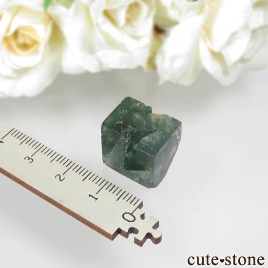 ǥʥ٥Lady Annabella˻ ꡼ե饤Ȥη뾽ʸСNo.2μ̿3 cute stone