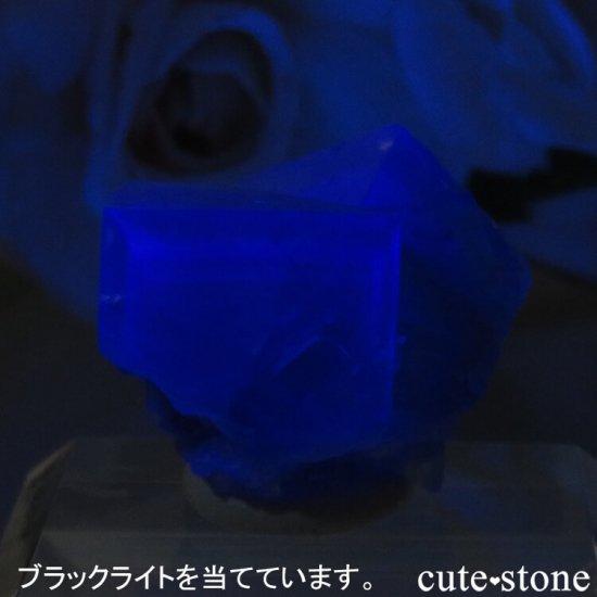 ǥʥ٥Lady Annabella˻ ꡼ե饤Ȥη뾽ʸСNo.3μ̿2 cute stone