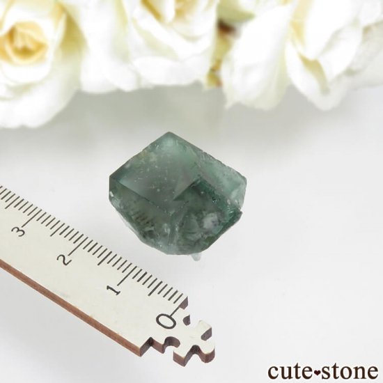 ǥʥ٥Lady Annabella˻ ꡼ե饤Ȥη뾽ʸСNo.3μ̿3 cute stone