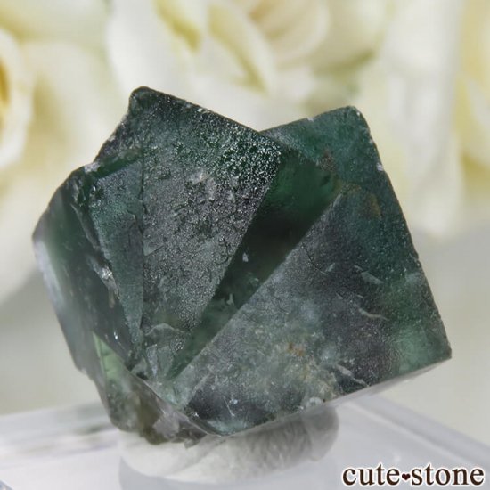 ǥʥ٥Lady Annabella˻ ꡼ե饤Ȥη뾽ʸСNo.4μ̿0 cute stone