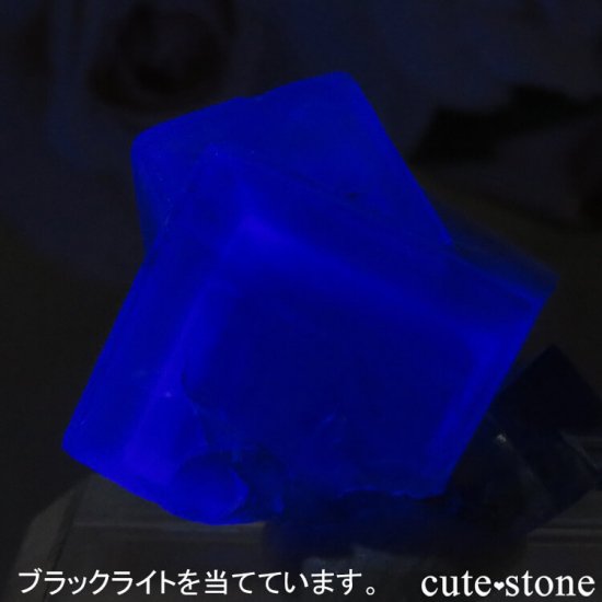 ǥʥ٥Lady Annabella˻ ꡼ե饤Ȥη뾽ʸСNo.4μ̿2 cute stone