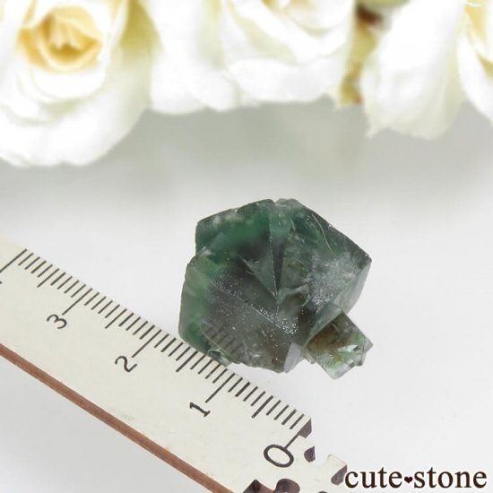 ǥʥ٥Lady Annabella˻ ꡼ե饤Ȥη뾽ʸСNo.4μ̿3 cute stone