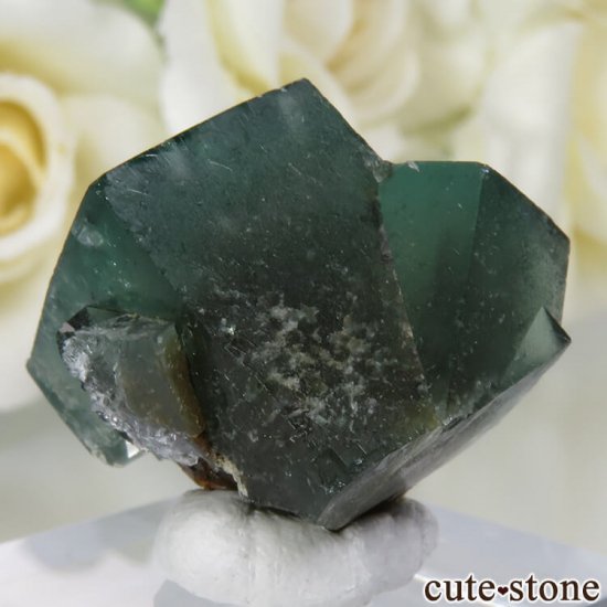 ǥʥ٥Lady Annabella˻ ꡼ե饤Ȥη뾽ʸСNo.5μ̿0 cute stone
