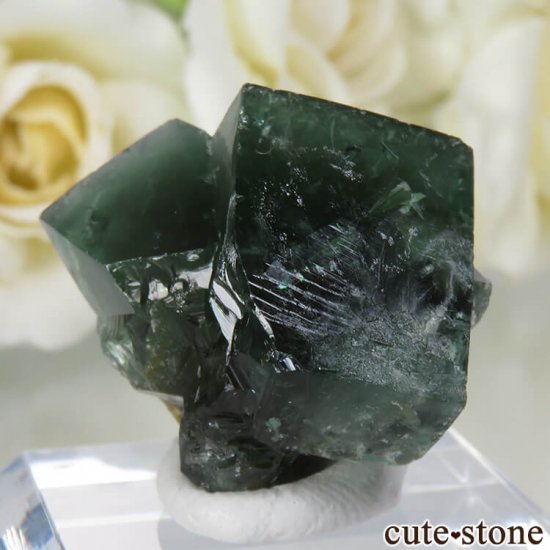 ǥʥ٥Lady Annabella˻ ꡼ե饤Ȥη뾽ʸСNo.5μ̿1 cute stone