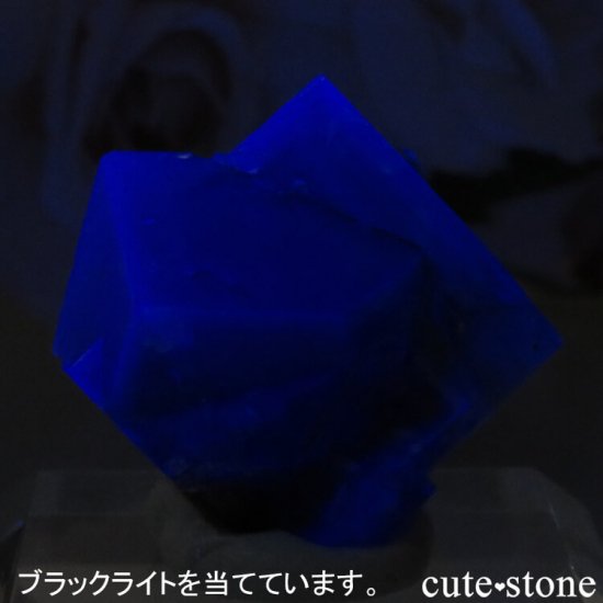 ǥʥ٥Lady Annabella˻ ꡼ե饤Ȥη뾽ʸСNo.5μ̿2 cute stone