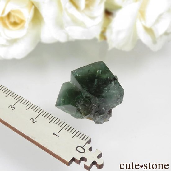 ǥʥ٥Lady Annabella˻ ꡼ե饤Ȥη뾽ʸСNo.5μ̿3 cute stone