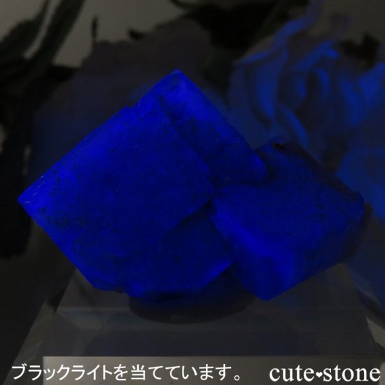 ǥʥ٥Lady Annabella˻ ꡼ե饤Ȥη뾽ʸСNo.6μ̿2 cute stone