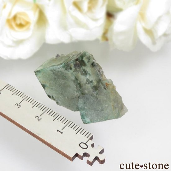 ǥʥ٥Lady Annabella˻ ꡼ե饤Ȥη뾽ʸСNo.6μ̿3 cute stone