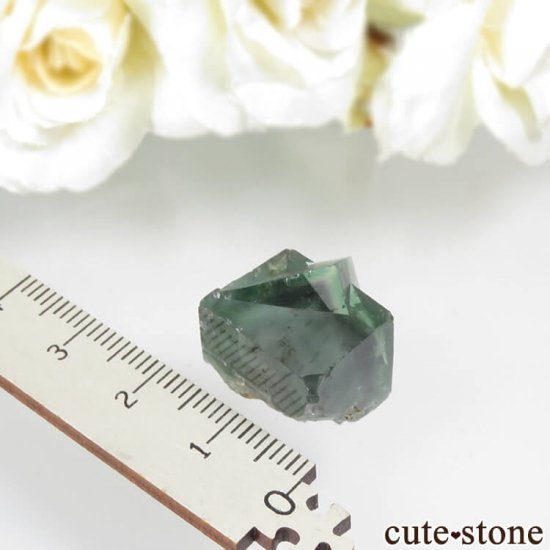 ǥʥ٥Lady Annabella˻ ꡼ե饤Ȥη뾽ʸСNo.7μ̿3 cute stone
