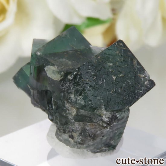 ǥʥ٥Lady Annabella˻ ꡼ե饤Ȥη뾽ʸСNo.8μ̿0 cute stone