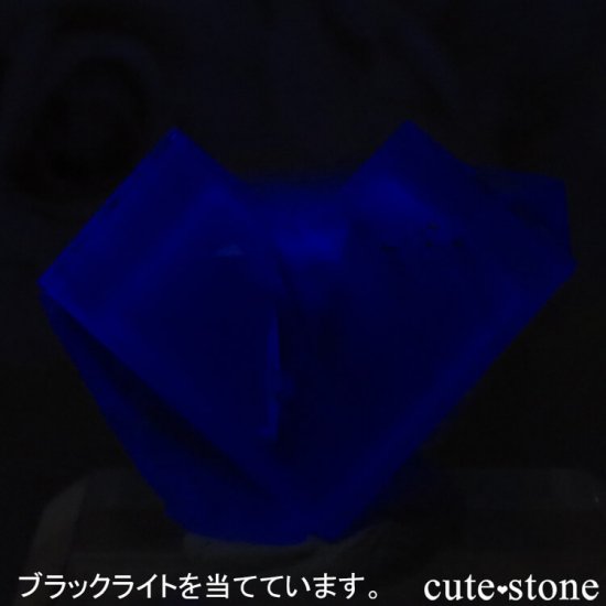 ǥʥ٥Lady Annabella˻ ꡼ե饤Ȥη뾽ʸСNo.8μ̿2 cute stone