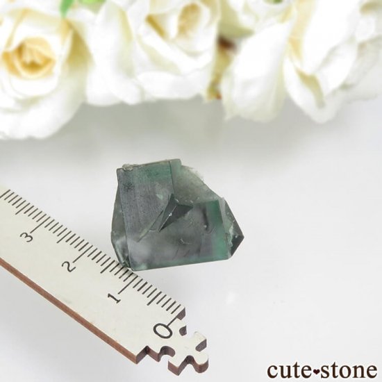ǥʥ٥Lady Annabella˻ ꡼ե饤Ȥη뾽ʸСNo.8μ̿3 cute stone