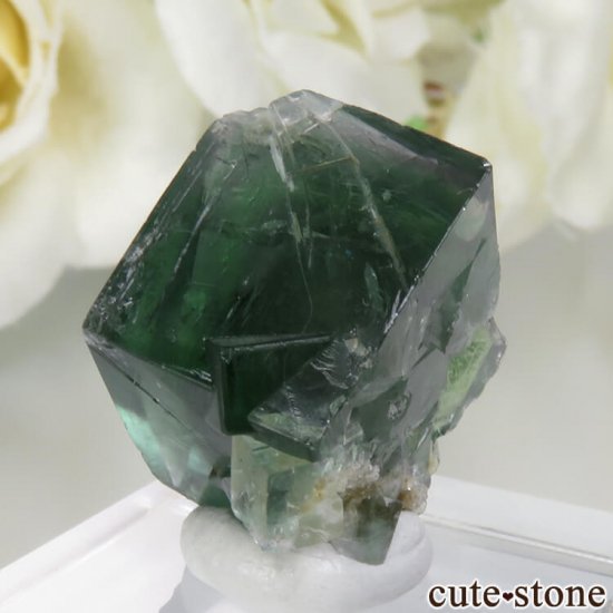 ǥʥ٥Lady Annabella˻ ꡼ե饤Ȥη뾽ʸСNo.9μ̿1 cute stone
