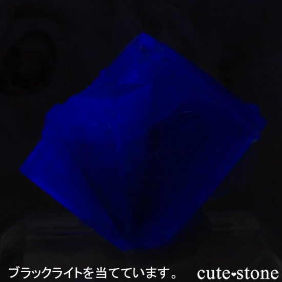 ǥʥ٥Lady Annabella˻ ꡼ե饤Ȥη뾽ʸСNo.9μ̿2 cute stone