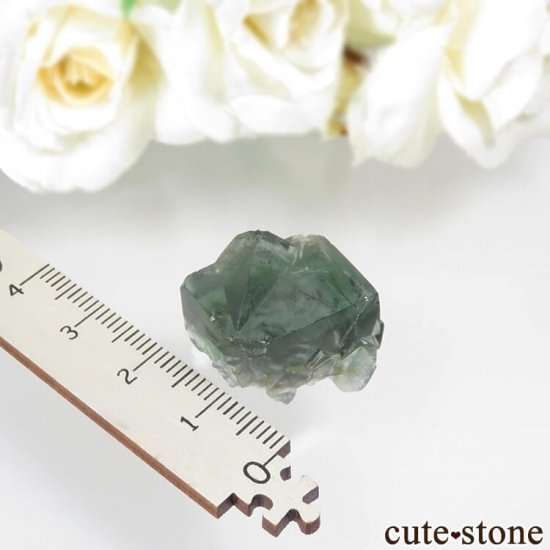 ǥʥ٥Lady Annabella˻ ꡼ե饤Ȥη뾽ʸСNo.9μ̿3 cute stone