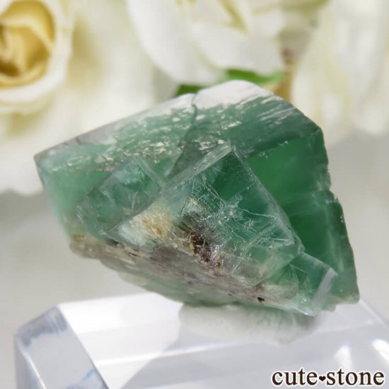 ǥʥ٥Lady Annabella˻ ꡼ե饤Ȥη뾽ʸСNo.10μ̿0 cute stone