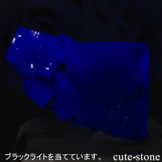 ǥʥ٥Lady Annabella˻ ꡼ե饤Ȥη뾽ʸСNo.10μ̿2 cute stone