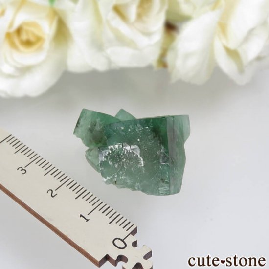 ǥʥ٥Lady Annabella˻ ꡼ե饤Ȥη뾽ʸСNo.10μ̿3 cute stone