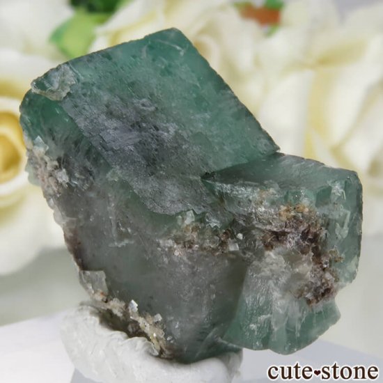 ǥʥ٥Lady Annabella˻ ꡼ե饤Ȥη뾽ʸСNo.11μ̿0 cute stone