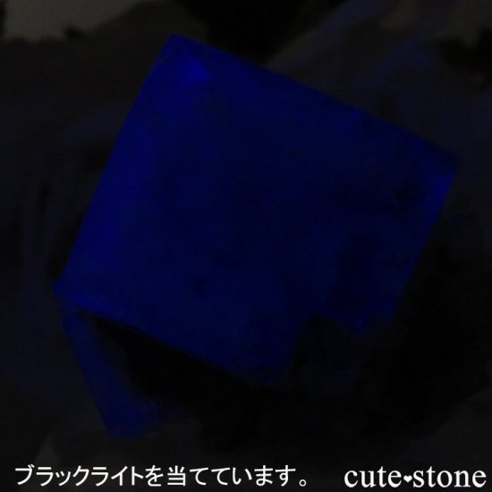 ǥʥ٥Lady Annabella˻ ꡼ե饤Ȥη뾽ʸСNo.12μ̿3 cute stone