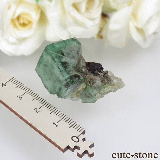 ǥʥ٥Lady Annabella˻ ꡼ե饤Ȥη뾽ʸСNo.12μ̿4 cute stone