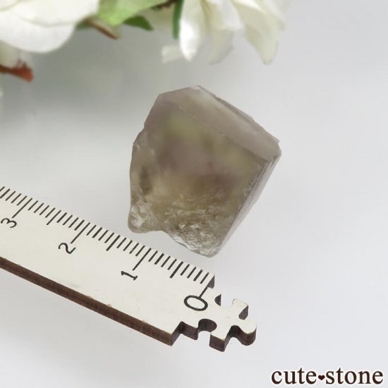 ǥʥ٥ The Bull vein ե饤Ȥη뾽ʸСNo.17μ̿3 cute stone