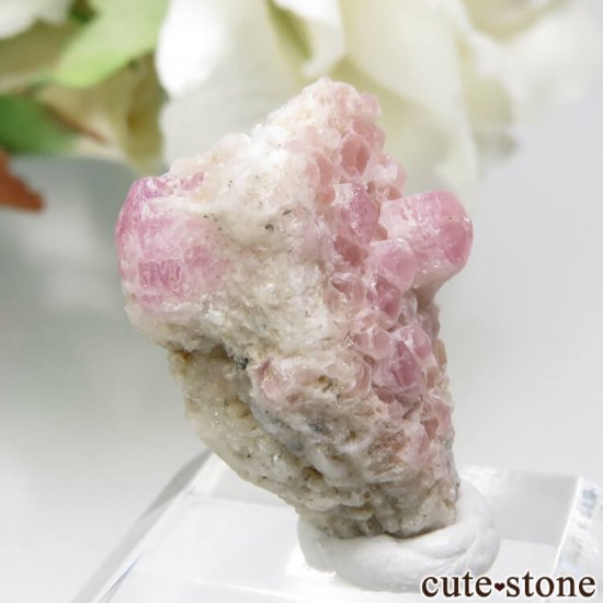 ڥĥåȡʥ饺٥ˤθ No.5μ̿0 cute stone