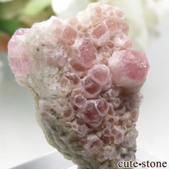 ڥĥåȡʥ饺٥ˤθ No.5μ̿3 cute stone