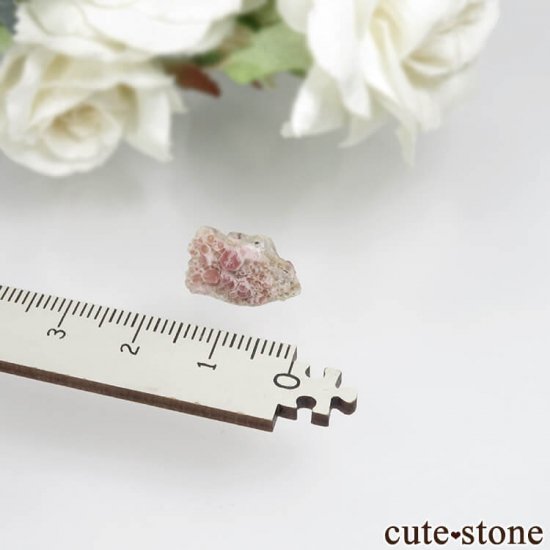 ڥĥåȡʥ饺٥ˤθ No.5μ̿4 cute stone