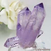 ᥭ ٥饯륹 ᥸Ȥη뾽ʥ٥饯륹᥸ȤθСNo.7β