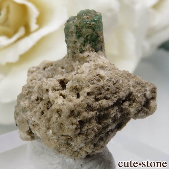 ѥ 뻺 ꡼٥դ No.1μ̿0 cute stone